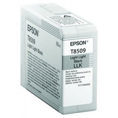 TINTA EPSON C13T850900